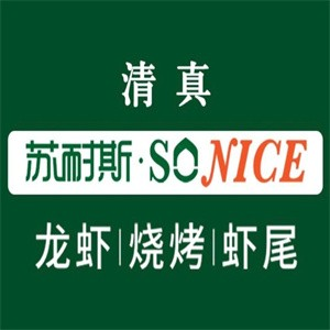苏耐斯烧烤品牌logo