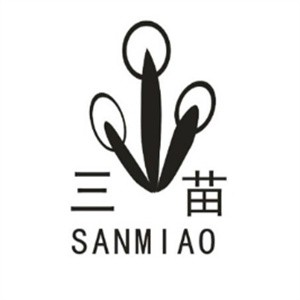 三苗烧烤