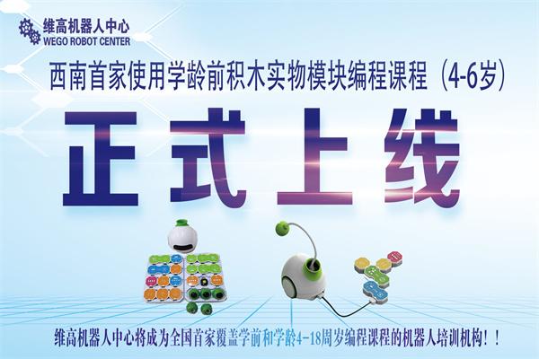 维高机器人