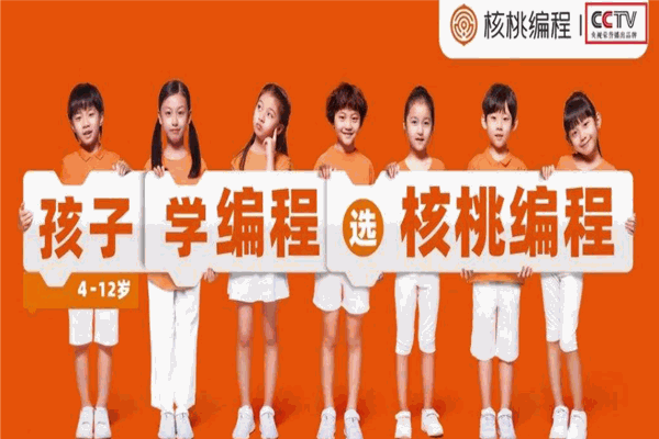 核桃编程 核桃编程