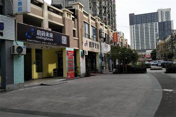 启码未来编程教育