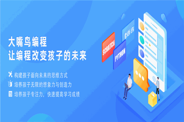 大嘴鸟少儿编程