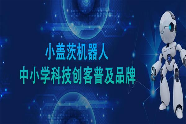 小盖茨机器人教育