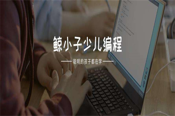 鲸小子少儿编程