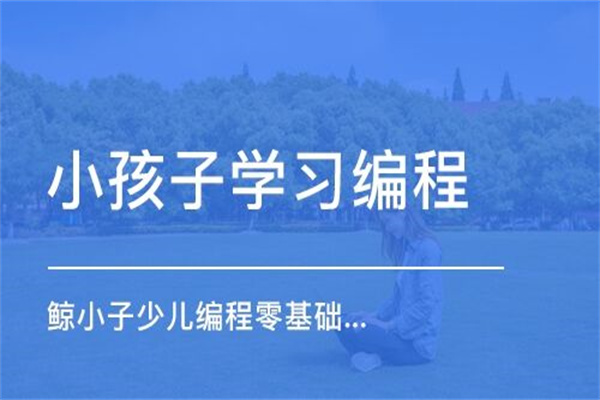 鲸小子少儿编程