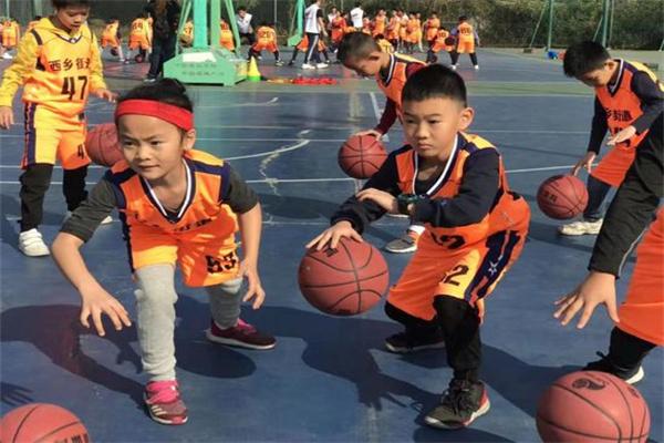 百灵鸟DOD青少年篮球培训班