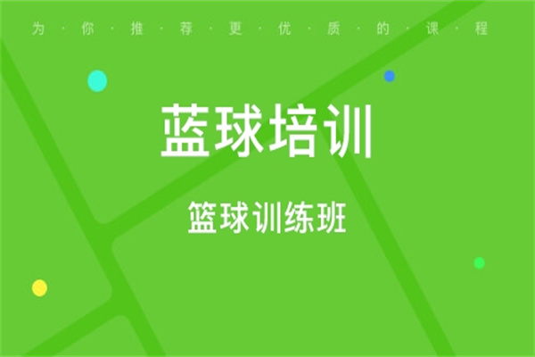 昂立慧动体育篮球培训