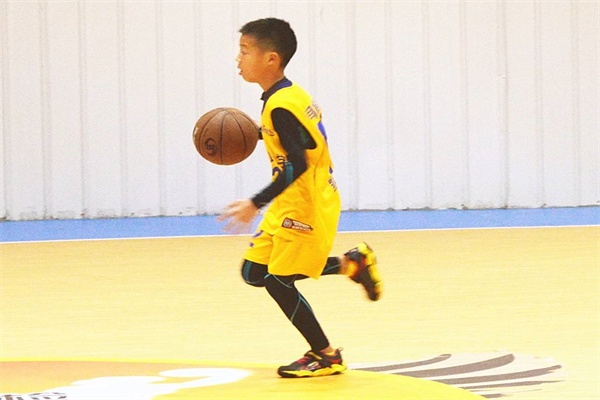 昂立慧动体育篮球培训
