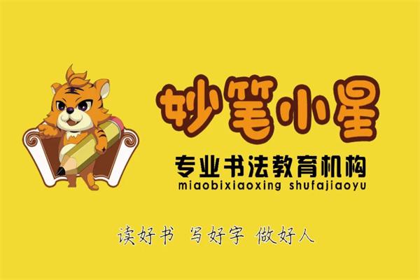 妙笔小星少儿书法
