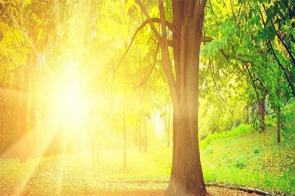 蒙田森学前教育