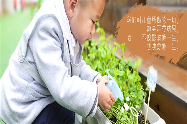 蒙田森学前教育