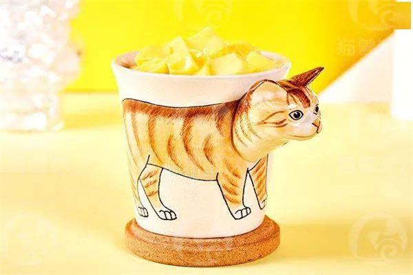 猫兽潮饮