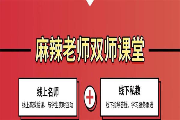 麻辣老师双师课堂