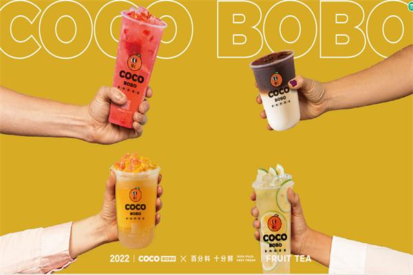 coco bobo多肉鲜果茶