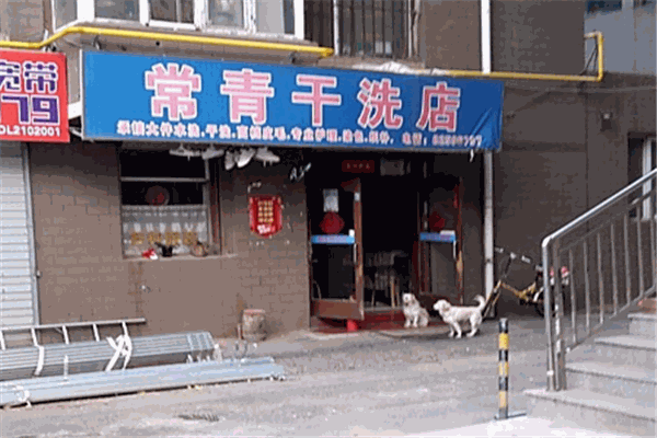 常青干洗 常青干洗