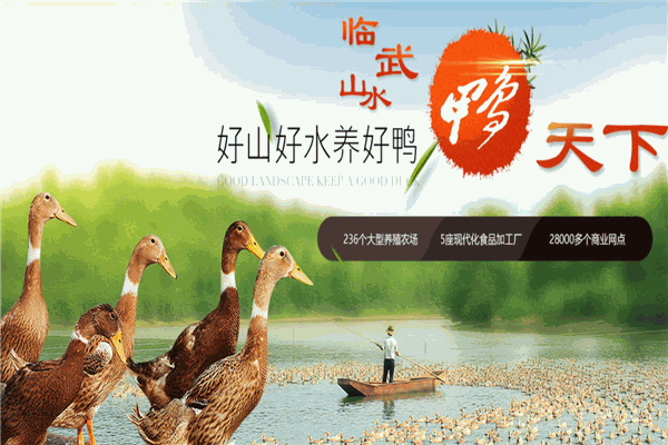 舜华临武鸭是哪里的特产？怎么加盟