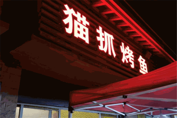 猫抓烤鱼