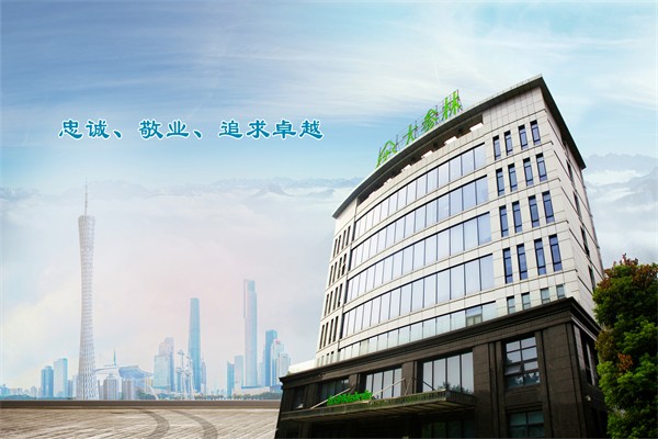 大参林药店 大参林药店