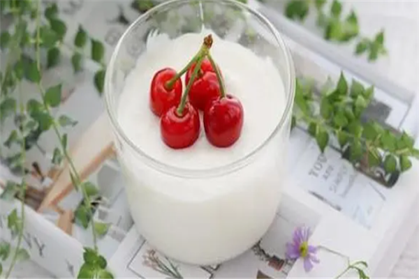 倔师傅茉莉酸奶