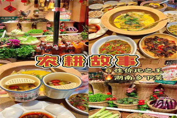农耕故事湖南乡下菜