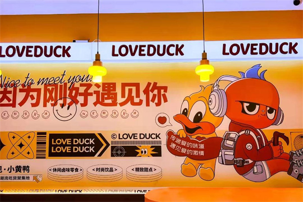 遇见小黄鸭