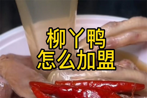 柳丫鸭熟食