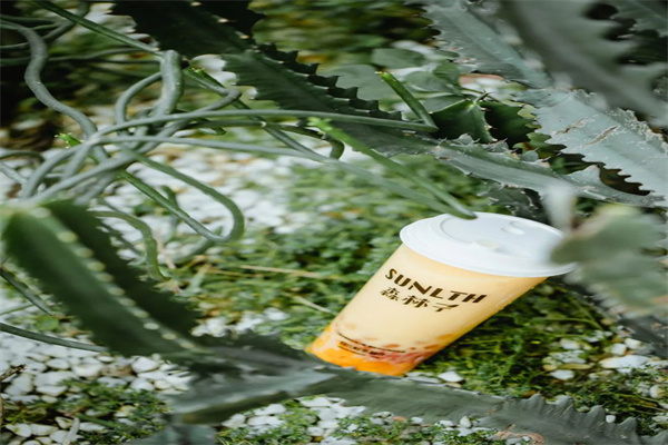 森林子奶茶