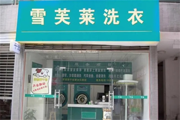 雪芙莱干洗