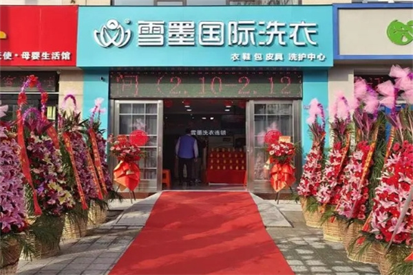 雪墨洗染