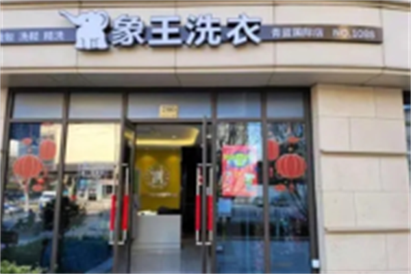象王洗衣