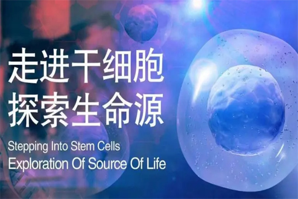 恒峰干细胞美容
