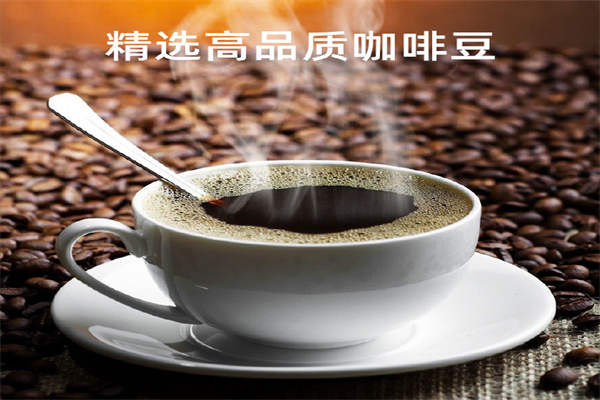 瑞星咖啡大概需要多少钱