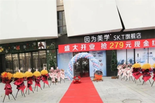 因为美学美容加盟 因为美学美容加盟