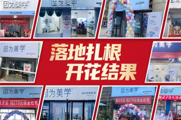 因为美学美容加盟 因为美学美容加盟