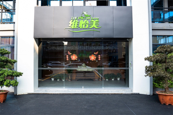 维怡美祛斑