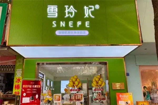 雪玲妃化妆品