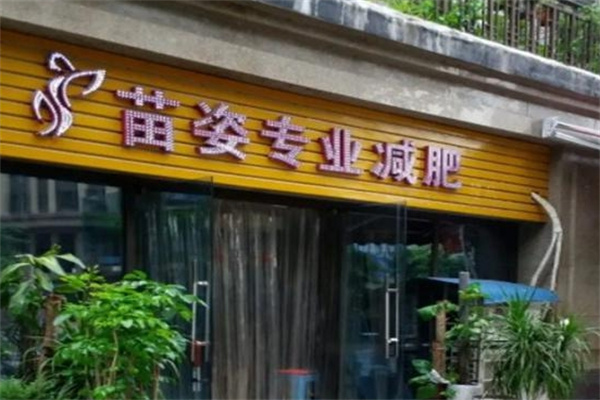 苗姿减肥加盟 苗姿减肥加盟