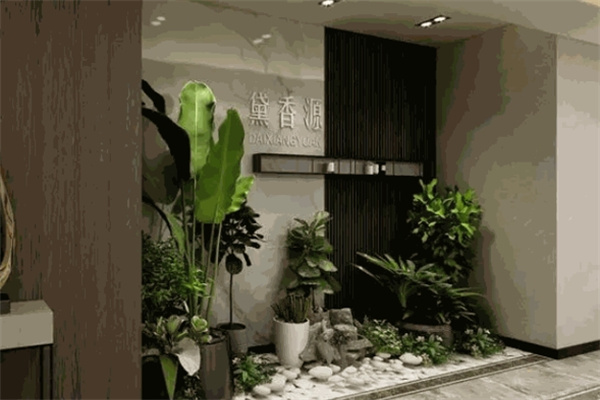黛香源护肤品