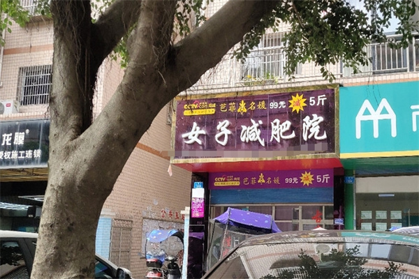 芭菲名媛女子减肥