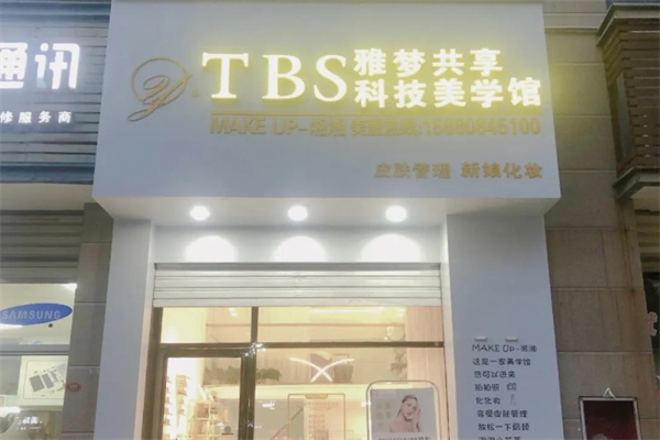 雅梦共享皮肤管理