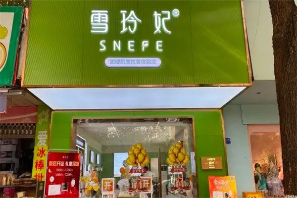 雪玲妃彩妆