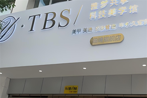 雅梦共享皮肤管理