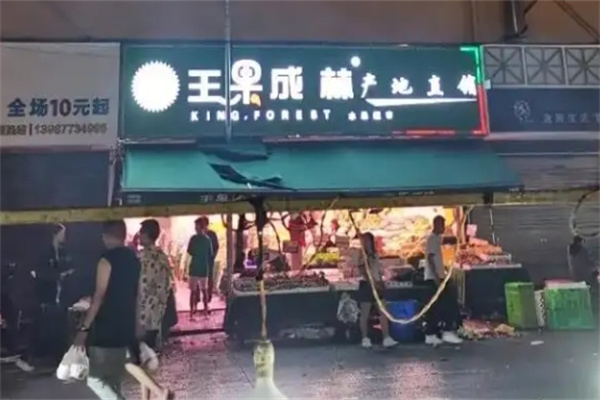 王果成林水果店加盟 王果成林水果店加盟