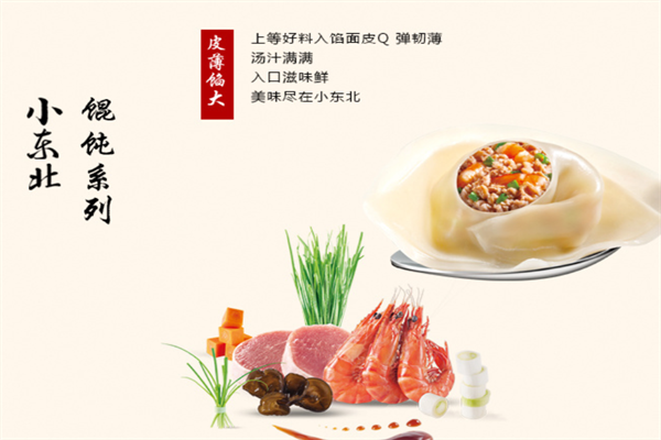 小东北食品馄饨