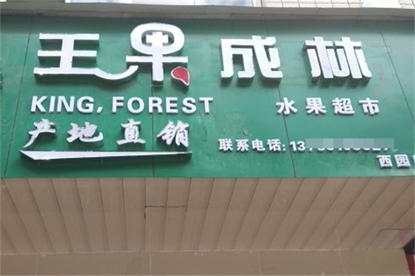 王果成林水果店加盟 王果成林水果店加盟