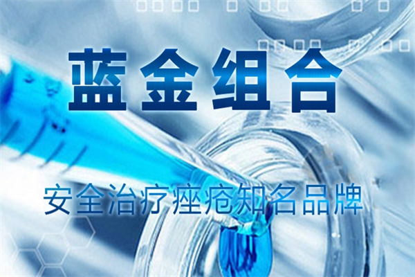 蓝金组合