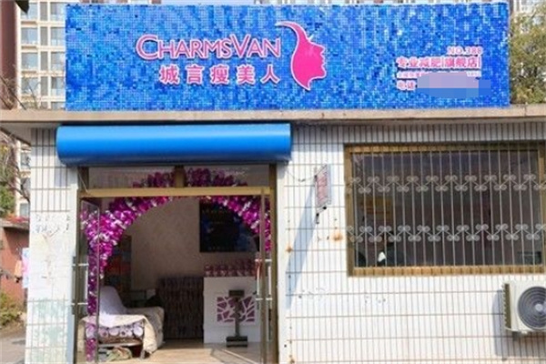 城言瘦美人 城言瘦美人