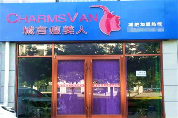 城言瘦美人 城言瘦美人