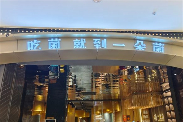 一朵菌野生菌火锅