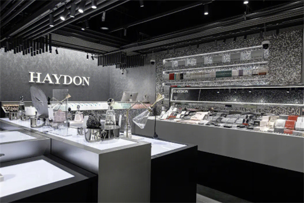 haydon黑洞